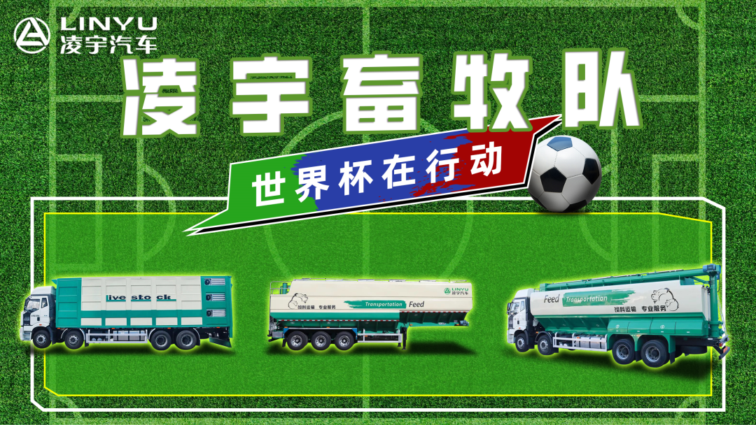 奪冠世界杯！你注意到這支球隊(duì)了嗎？